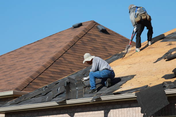 Best Sheet Metal Roofing  in Rogers, AR