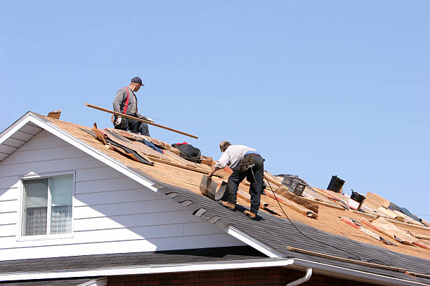Best Roof Moss and Algae Removal  in Rogers, AR